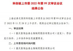 按天配资平台-智翔金泰首发获科创板上市委通过公司尚未盈利且存在累计未弥补亏损