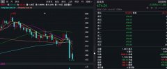 配资公司资金_股价大跌 赛道拥挤 爱美客的暴利还能持续吗？