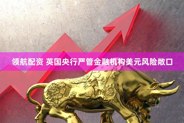 领航配资 英国央行严管金融机构美元风险敞口