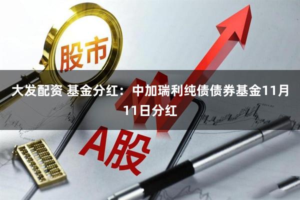 大发配资 基金分红：中加瑞利纯债债券基金11月11日分红